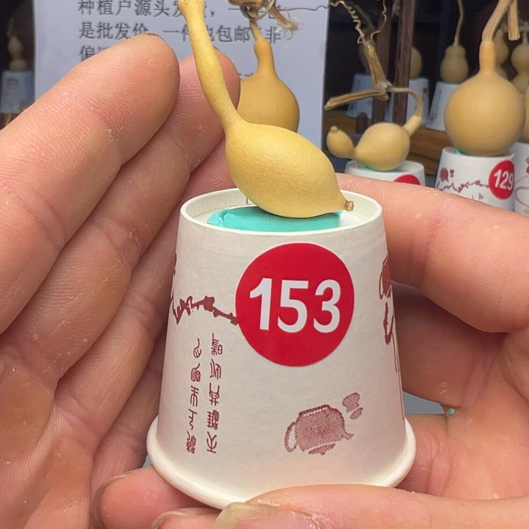 闪电购自助下单编号153