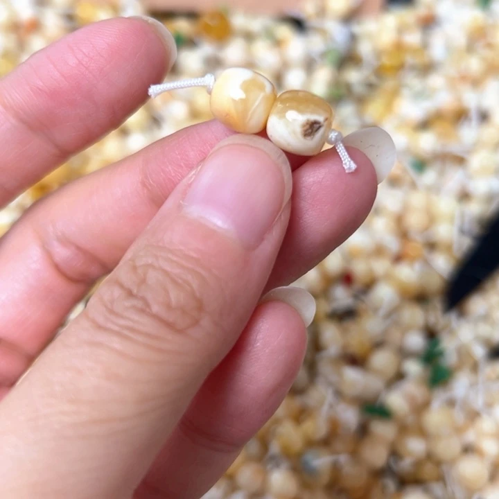 裸石蜜蜡未镶嵌8.1mm一对