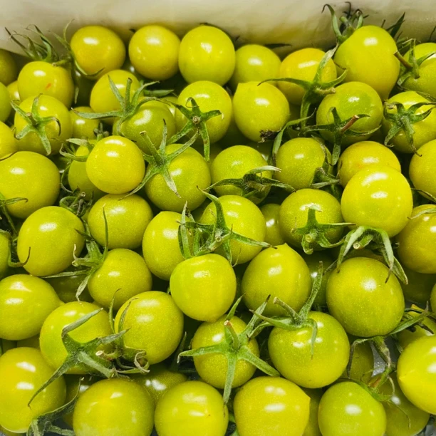 青玲珑千禧一箱毛重约2.5斤千禧圣女果广东省广州市