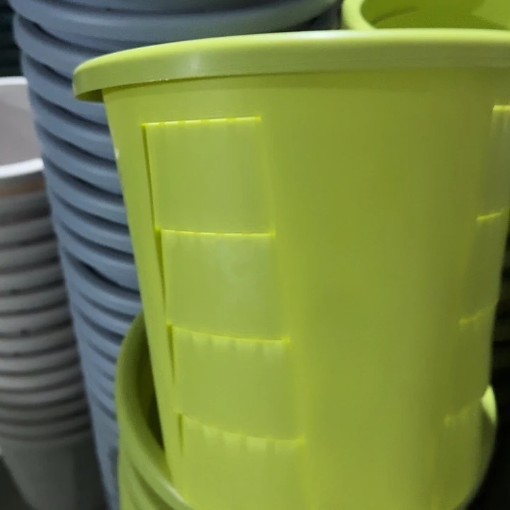 编号801果绿无托4个