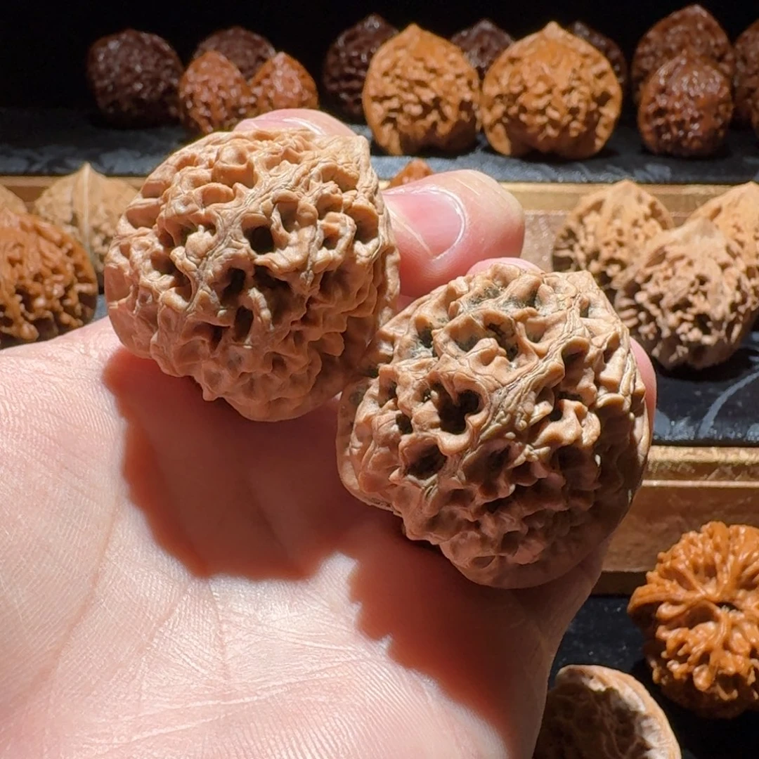 把件文玩核桃原树太行龙纹