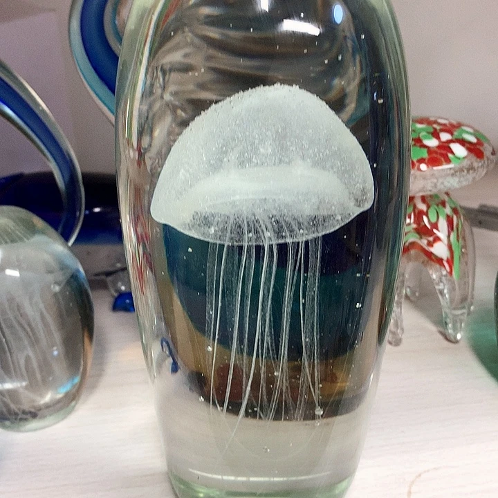小***优琉璃琉璃琉璃琉璃