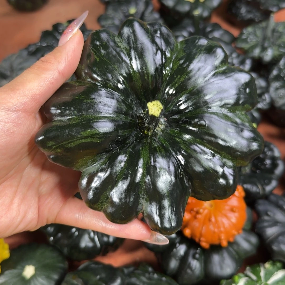 静***兔饿哦饿哦饿哦饿哦饿哦