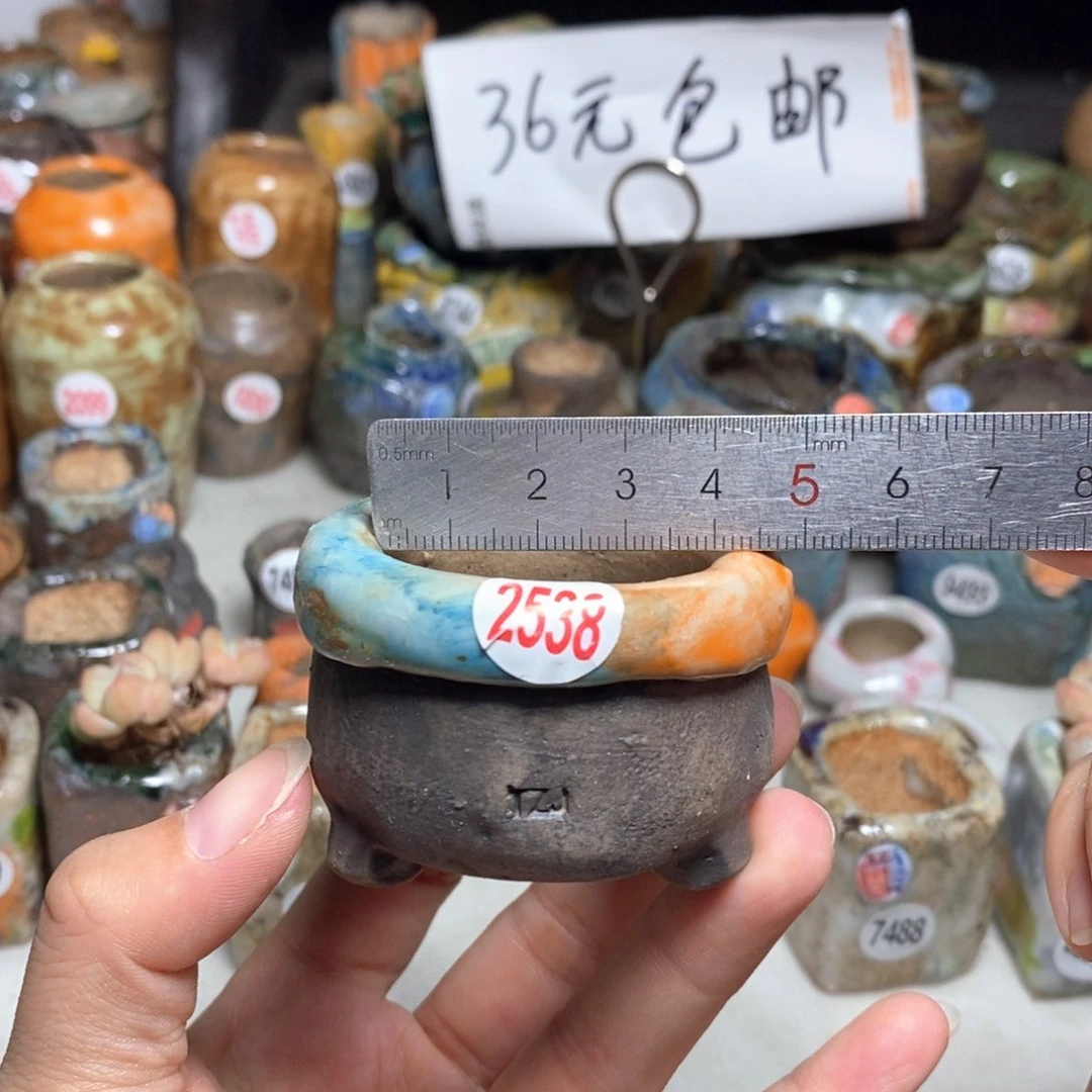 拍3送一个小礼物