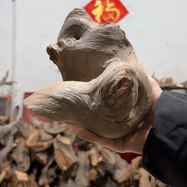 柏木6****活我们的生活也是如此