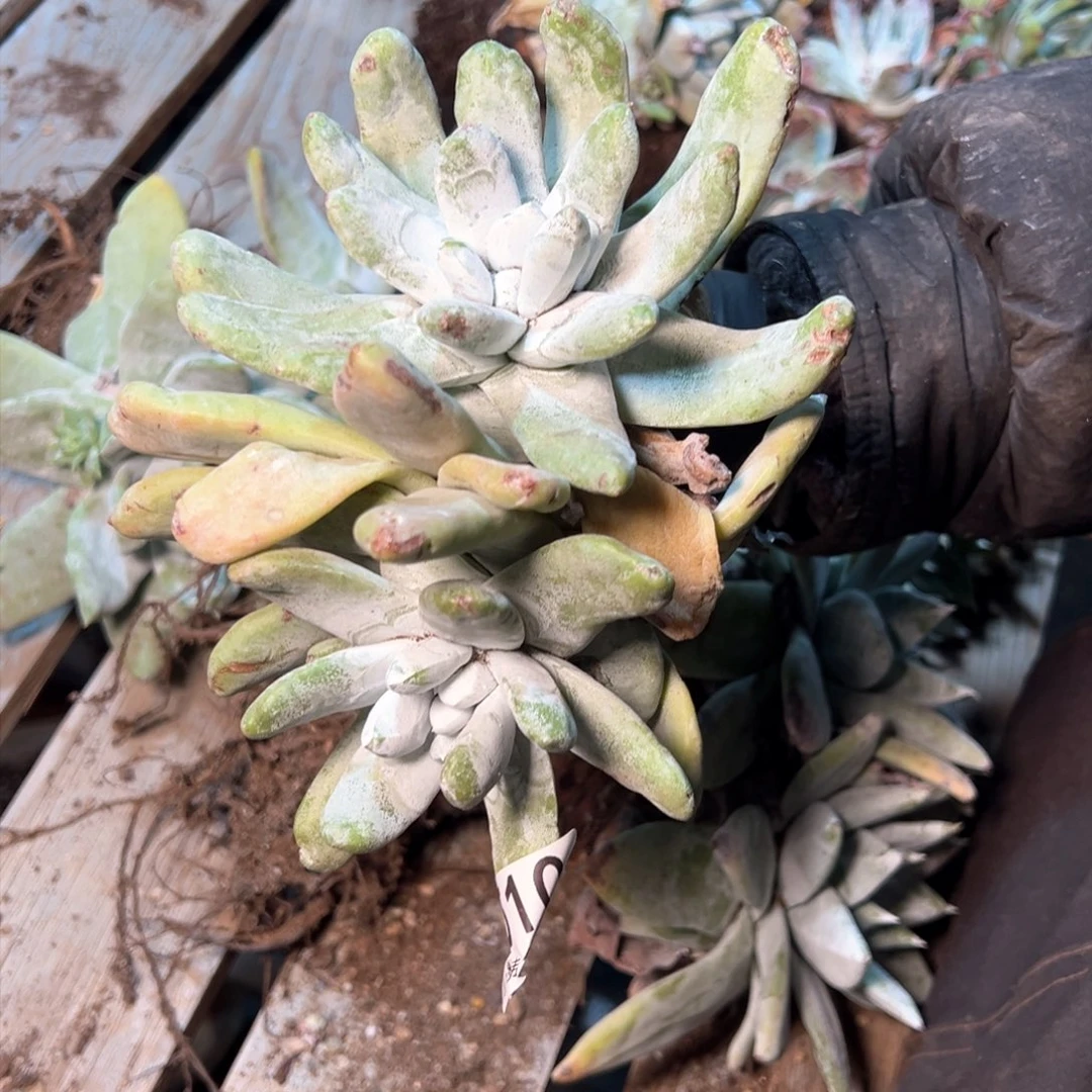 7510哈哈哈哈哈哈哈哈