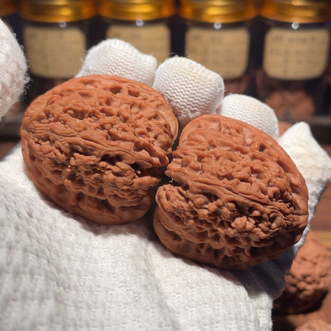 晚***风核桃43炮弹南疆mmmmm