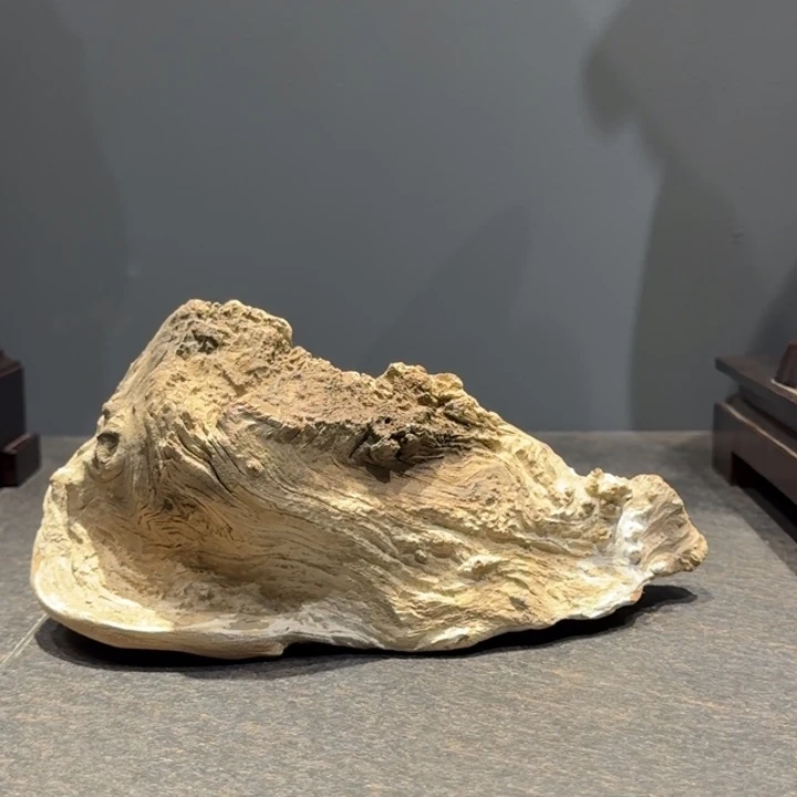 l***n柏木（崖柏）嗯！好喜欢看肖蘸和