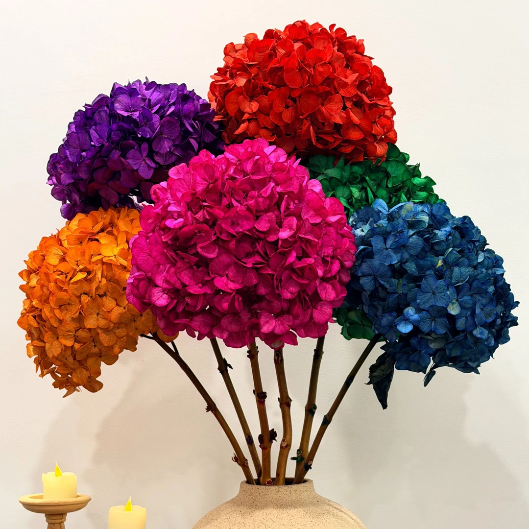 【SHANHUA】25-30cm永生绣球花