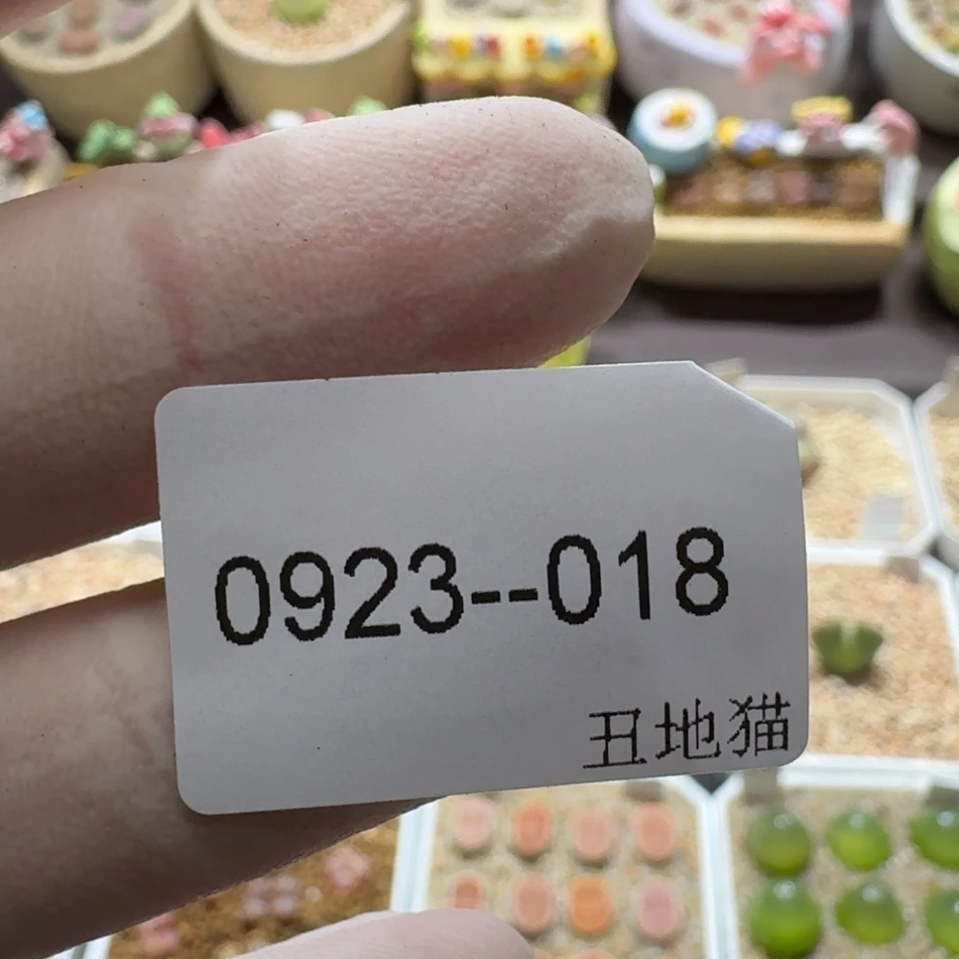 `***多0923-018卷卷卷卷卷