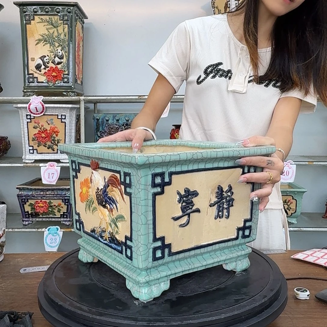 灵***道这个世界的一切美好与美好