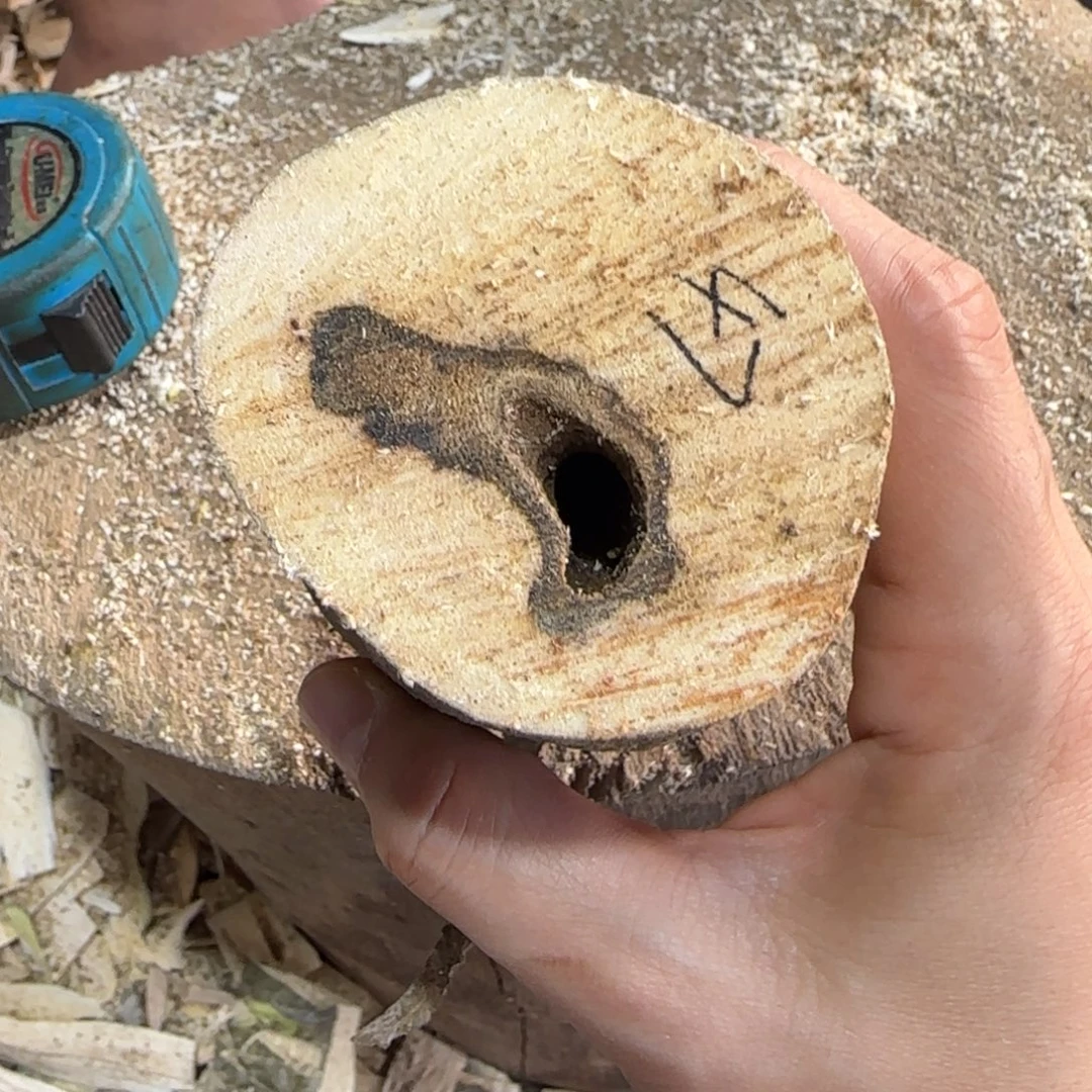 是***！沉香碎屑沉香47号奇楠沉香原木一个