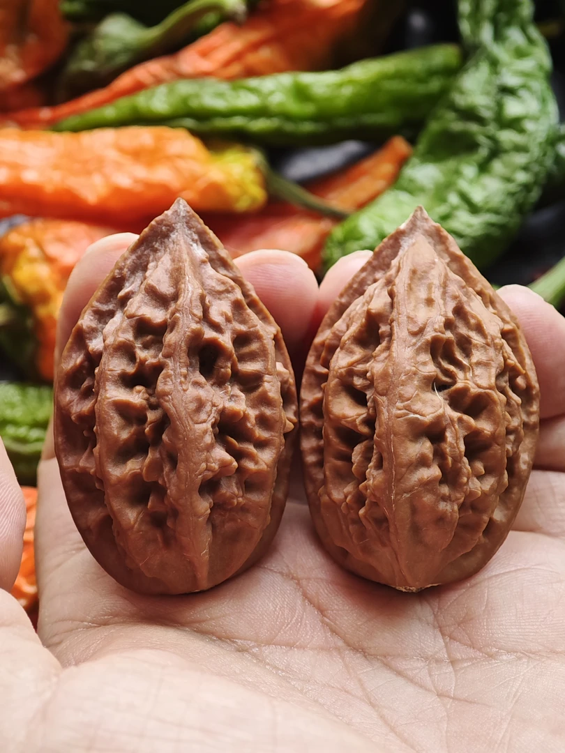 D5，东北野生楸子核桃，粗筋秋子，58高，皮质好，轻微色差，特价不刀