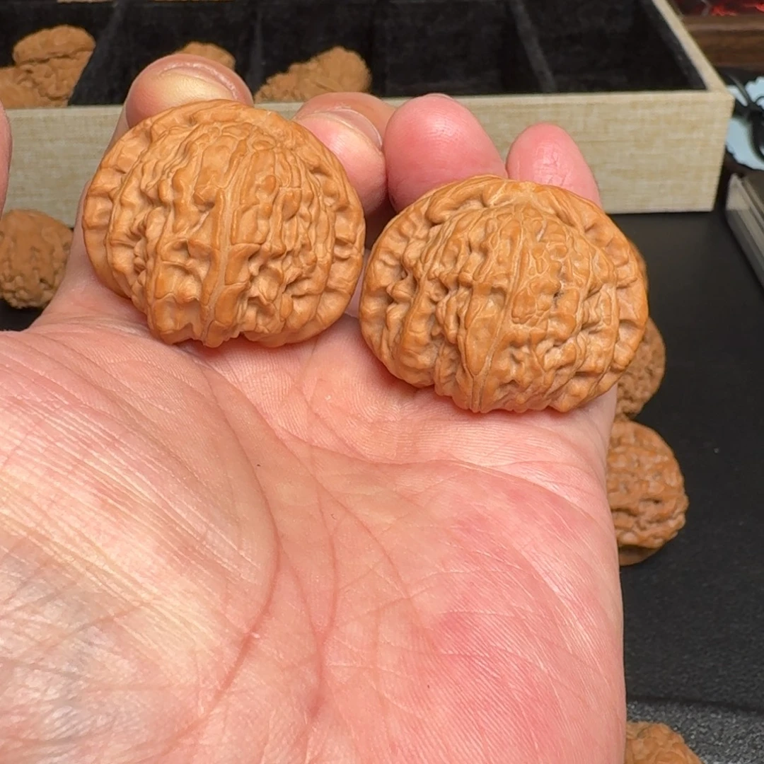 文玩核桃把件全品白狮子 尺寸39