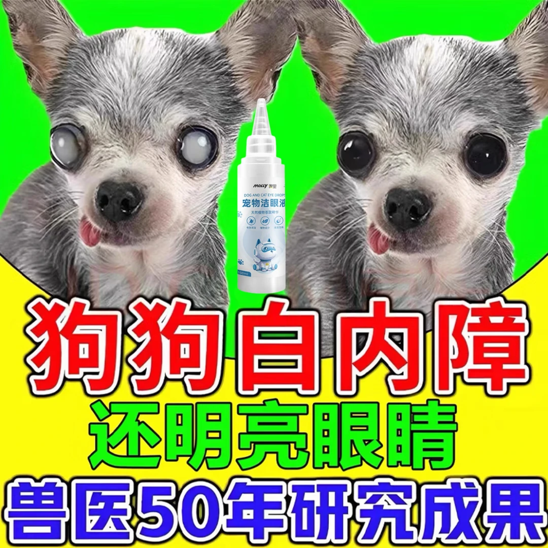 狗狗白内障专用滴眼液老年犬眼球发白视线模糊眼球浑浊泛白干流