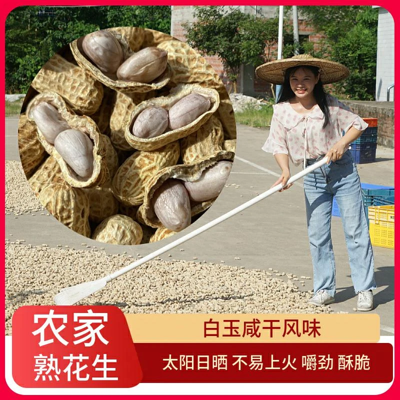 【专属】曾小佩2025年新品当季水煮咸干白玉花生带壳花生有嚼劲零食