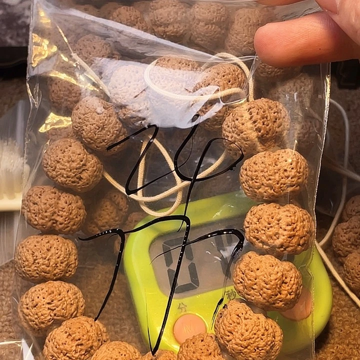 从***终金刚菩提吊坠24呜呜呜