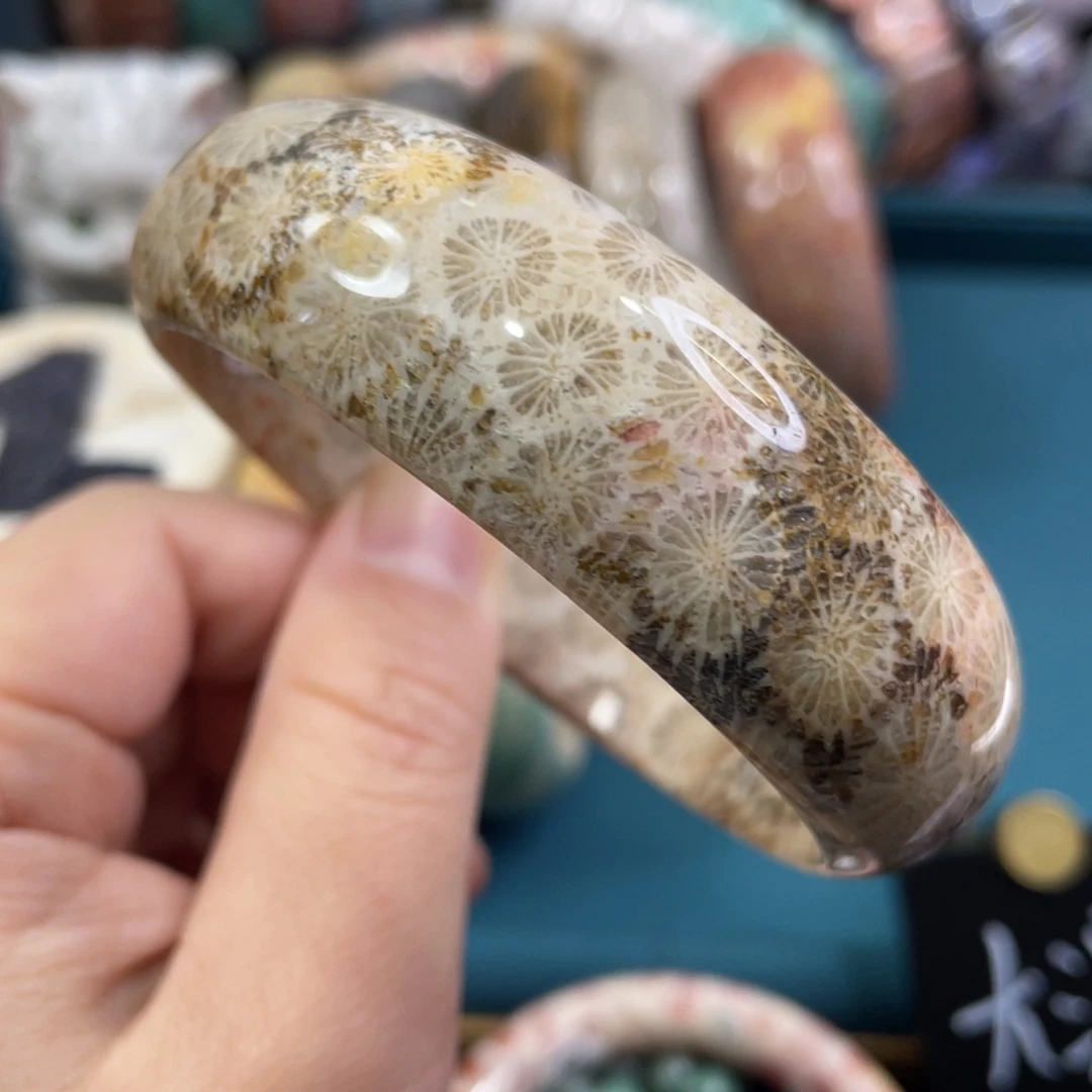 未镶嵌手镯硅化玉