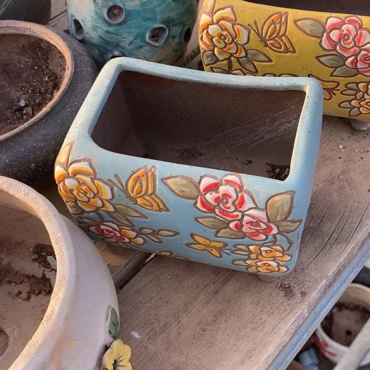 红陶用****9多肉盆一个漂亮的