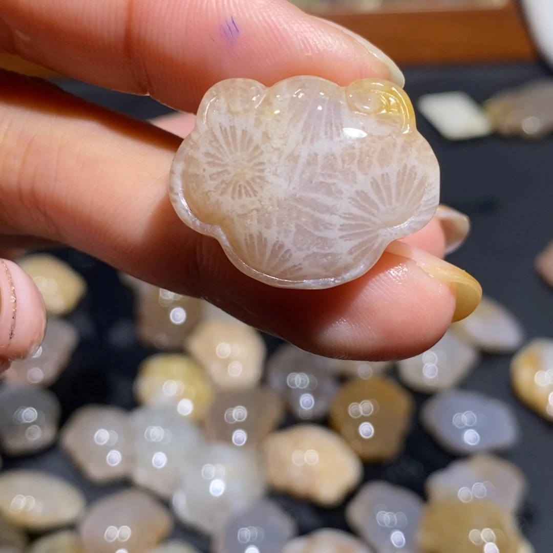 【闪购商品】未镶嵌珊瑚玉硅化玉