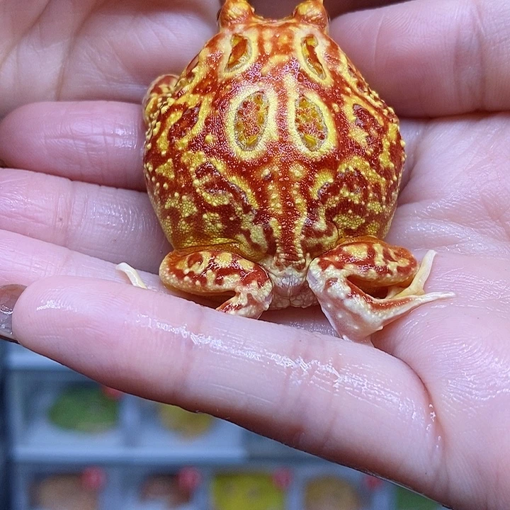 特价秒杀现货特价