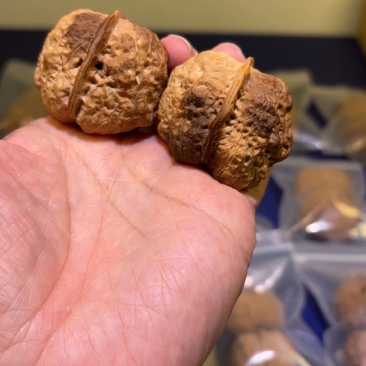 吊坠文玩核桃乾坤金蟾