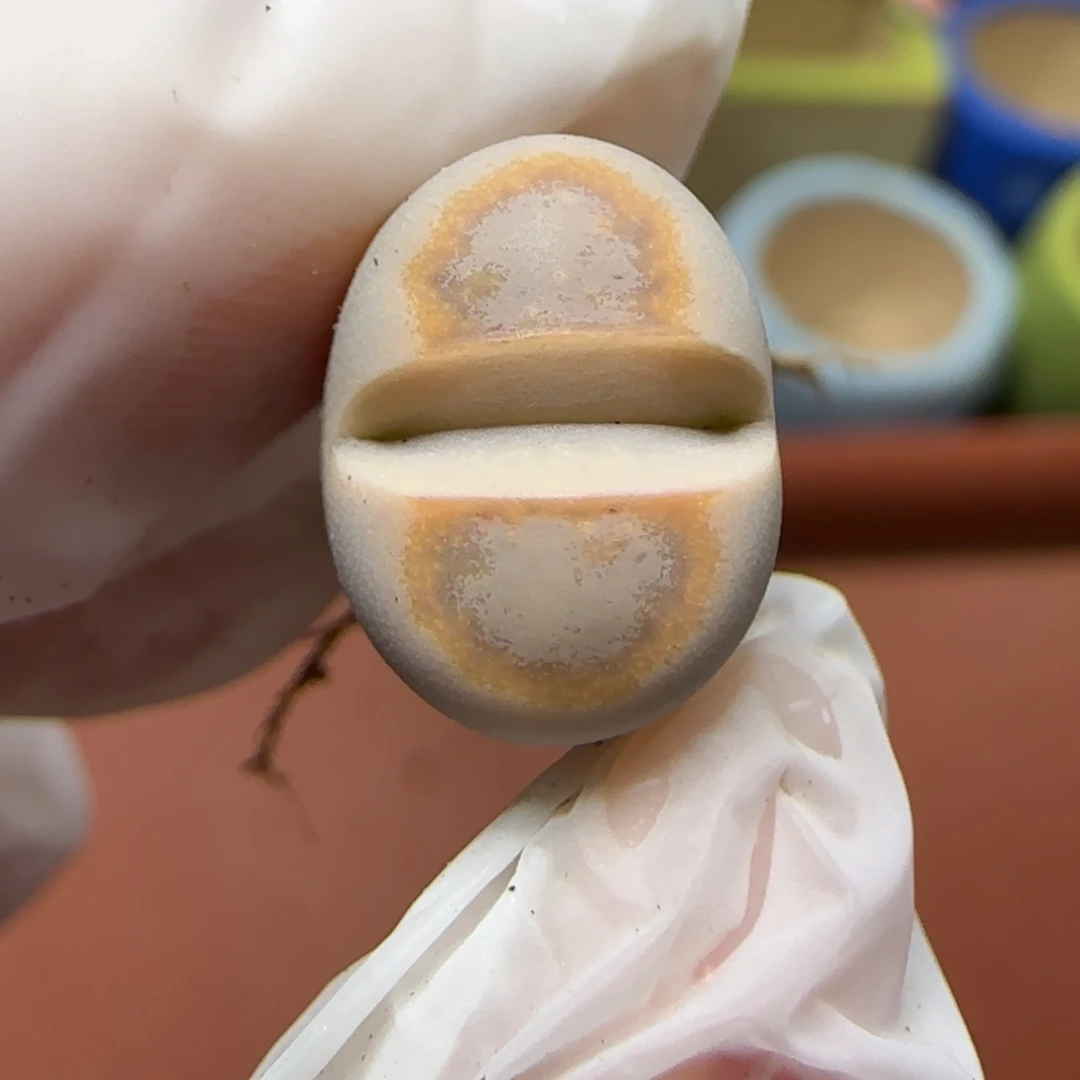 12.21.c216饼干.9020福利