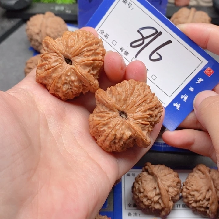把件桃核41全品血麒麟816号牌