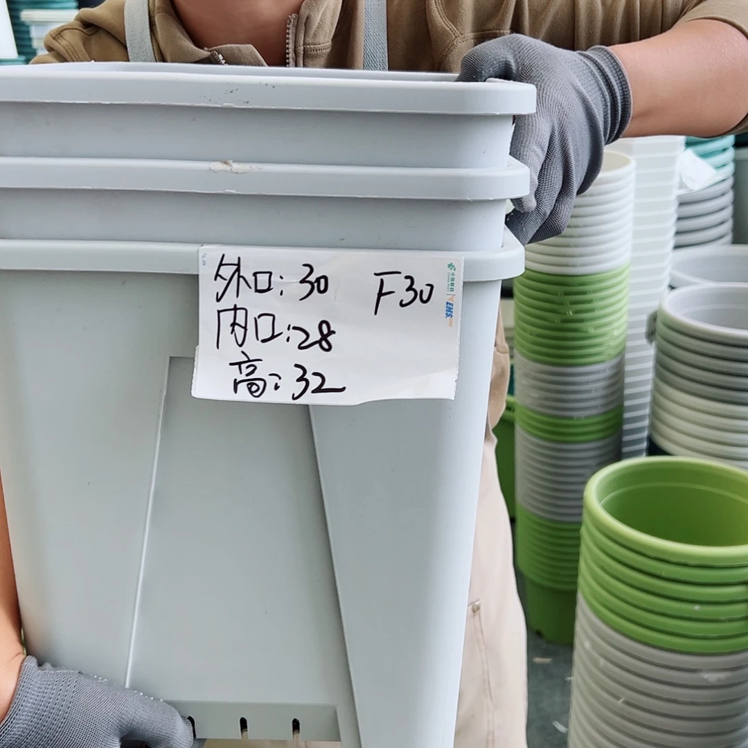 方盆F30#灰白色3个无托