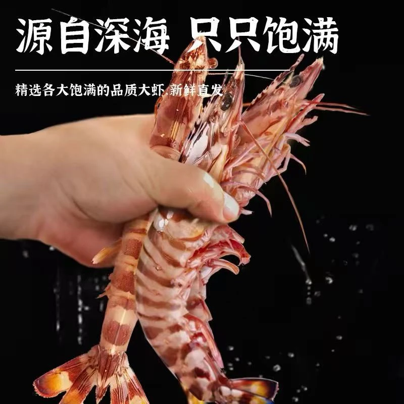 青岛野生海捕，斑节虾，竹节虾海鲜，九节虾1斤10-14只.净重两斤顺丰次日达大虾