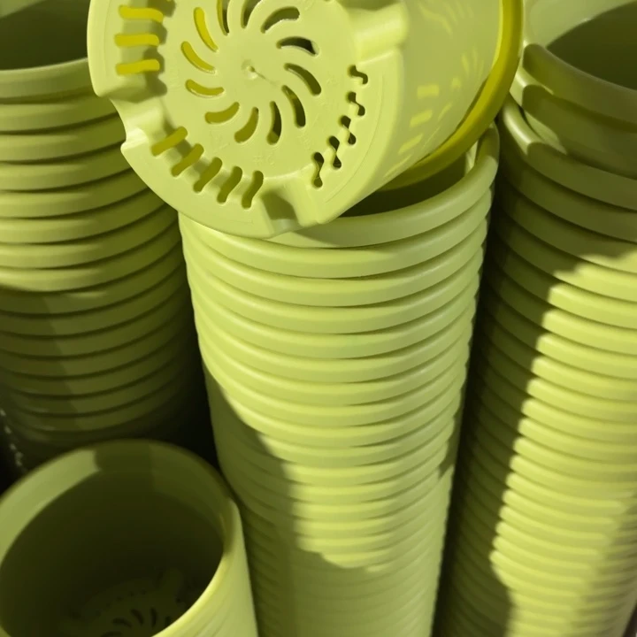 四季2号21个果绿色的花盆