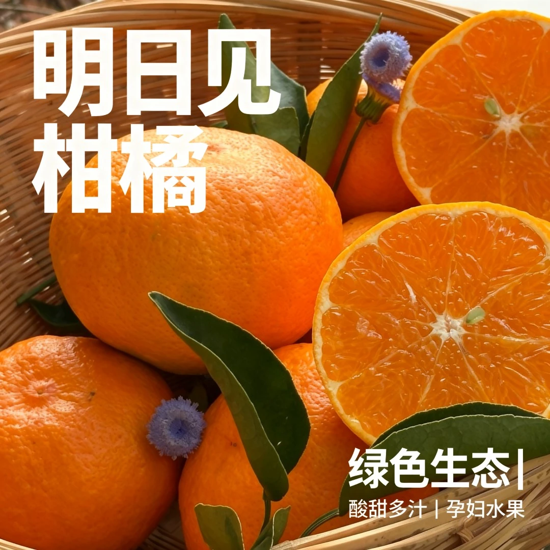 【产地直发包邮】云南明日见柑橘耙耙柑升级版绿色生态孕妇水果