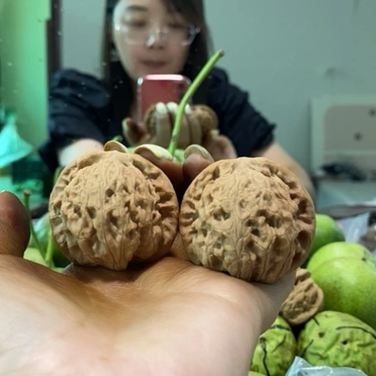 文玩核桃吊坠走*43玄武狮子头