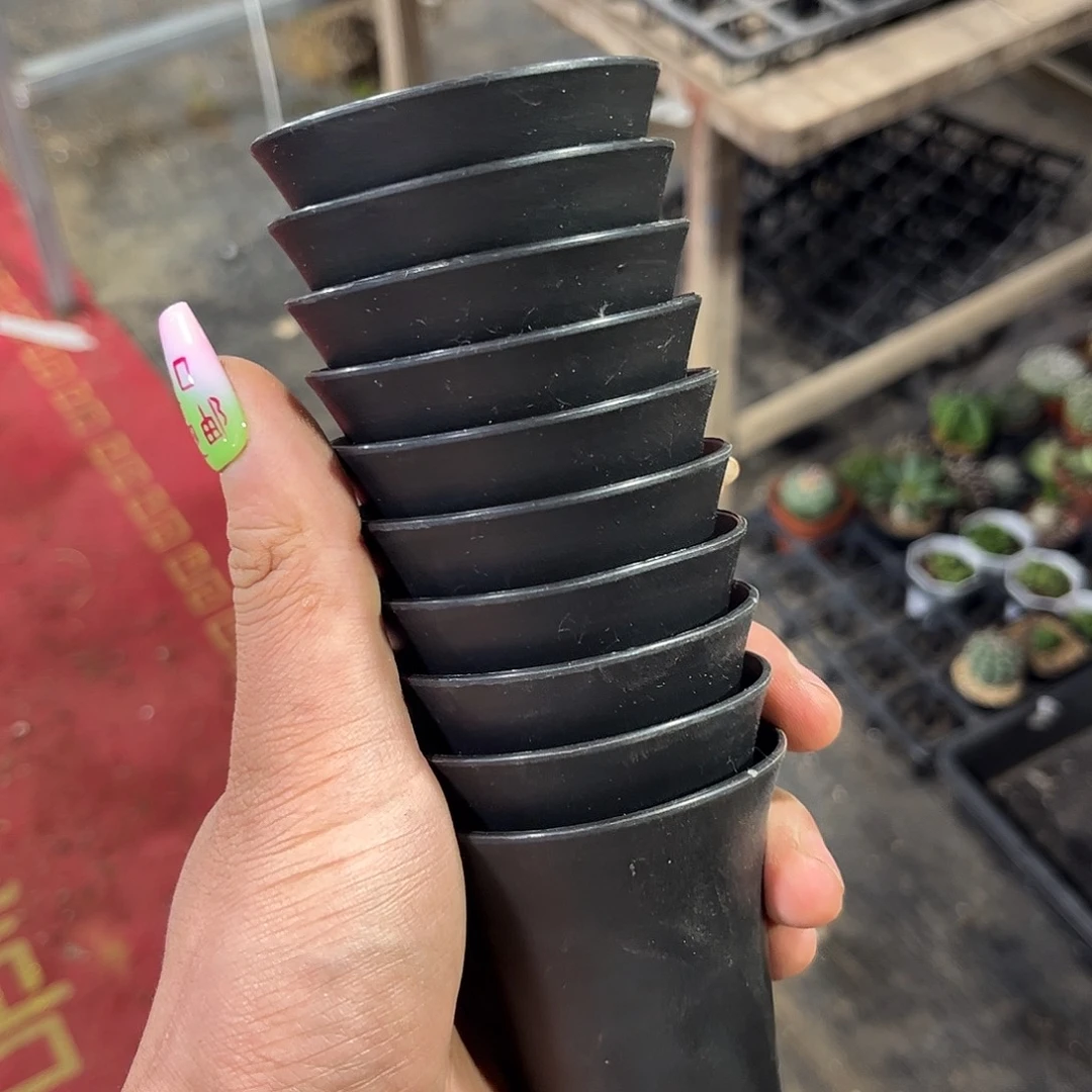 十*?10个就这个发货有根