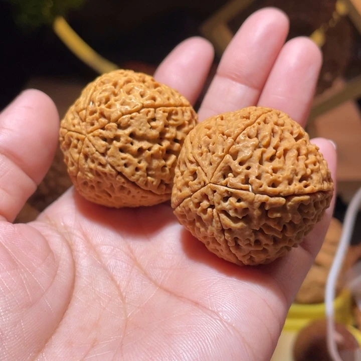 桃核把件五瓣金刚菩提