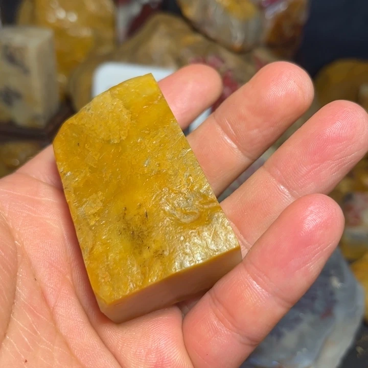 三***公昌化石国石昌化石