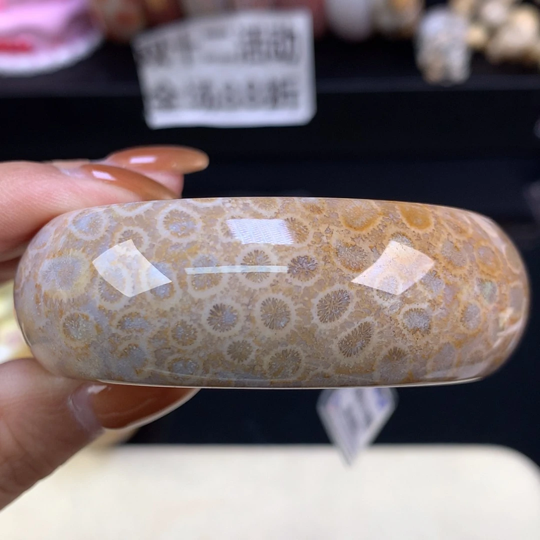 【闪购商品】颈饰未镶嵌硅化珊瑚（珊瑚玉）福利手镯54.2（20号）