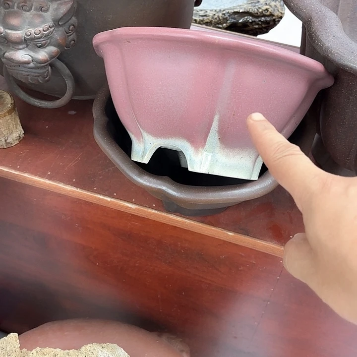 紫砂花盆黄**凰紫砂的味道很好