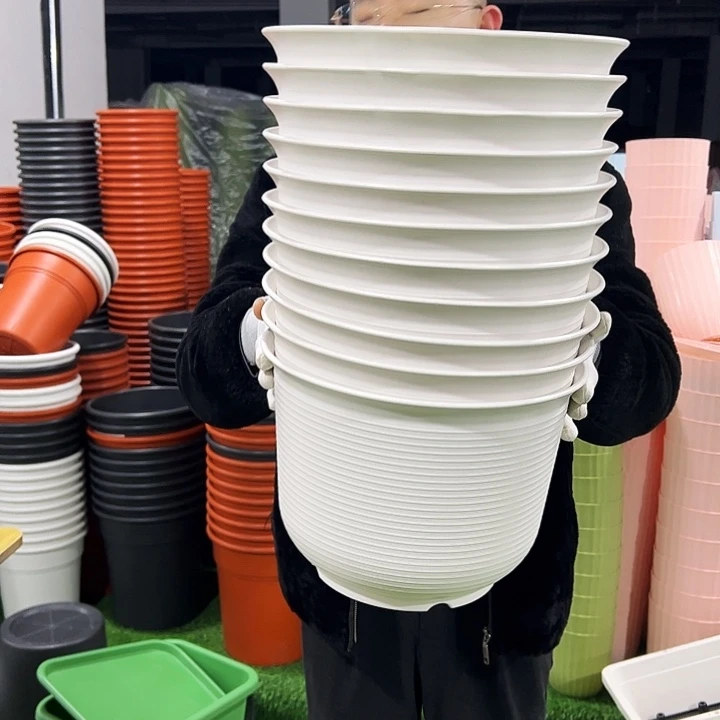 正品矮陶口30高21白色5只无托