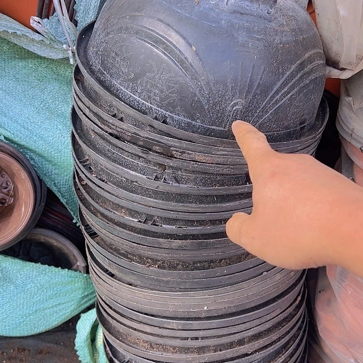 吊兰盆口径26高12发16个