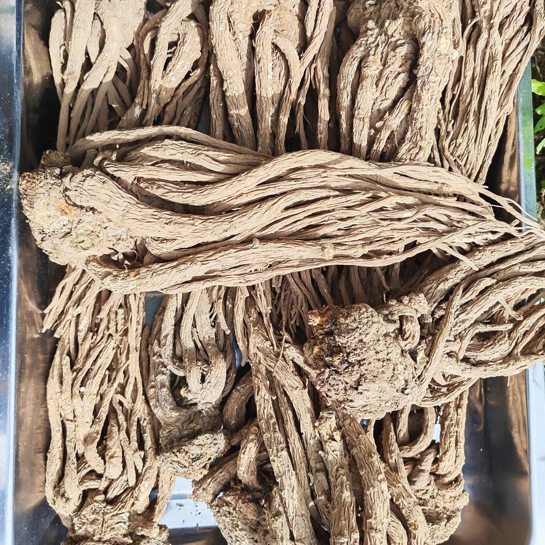 甘肃岷县原产地直发全当归整根无硫可炖汤泡酒滋补甘肃岷县当归