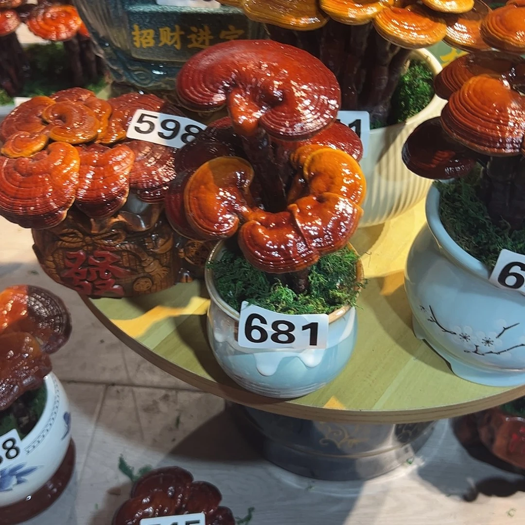 天***司无花朵999999999999