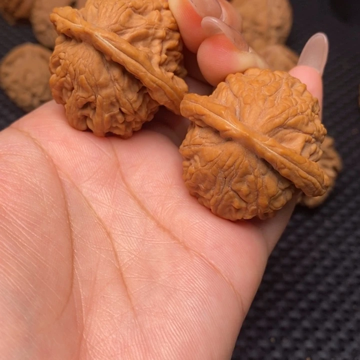 秦岭野生4444444444