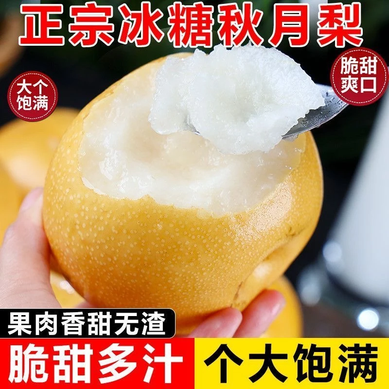 【产地直发】正宗山东秋月梨脆甜多汁细嫩化渣应季水果