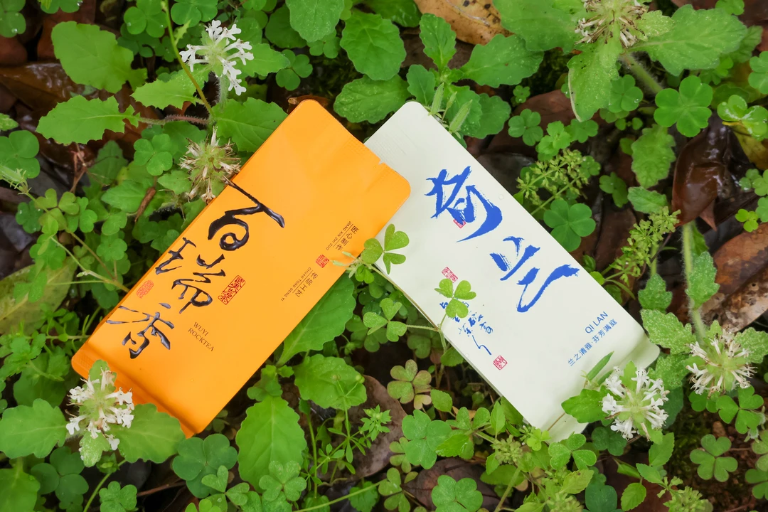 【武夷四季宝】——“岩茶双子星”奇兰百瑞香