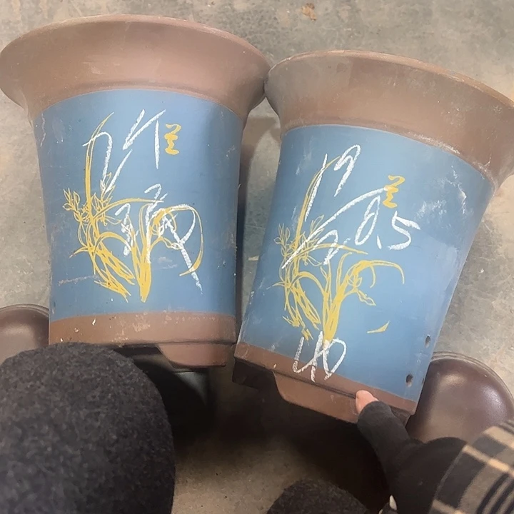 40号宜兴紫砂花盆特惠