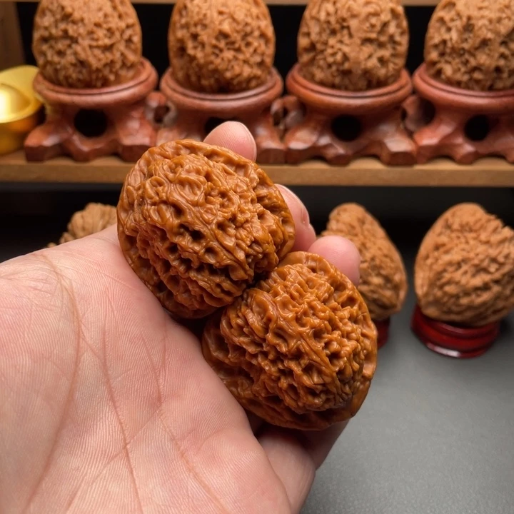 南疆00000000000000