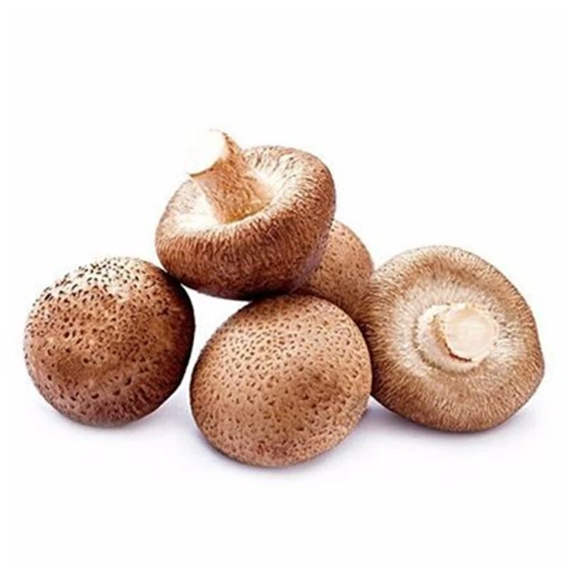 香菇500g