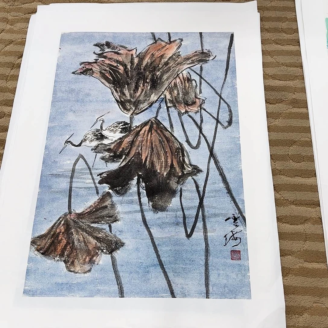 国画花鸟的翅膀和羽毛的