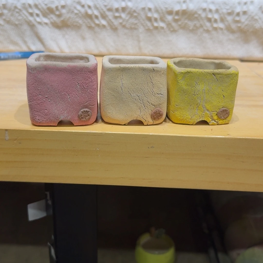 小***泡0910-090盆盆盆盆盆盆